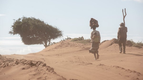 ظاهرة هدر الطعام وتأثيرها على سلسلة الإمداد الغذائي ظاهرة هدر الطعام وتأثيرها على سلسلة الإمداد الغذائي