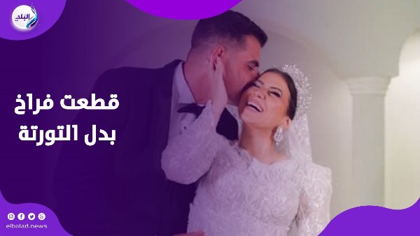 دينا هشام