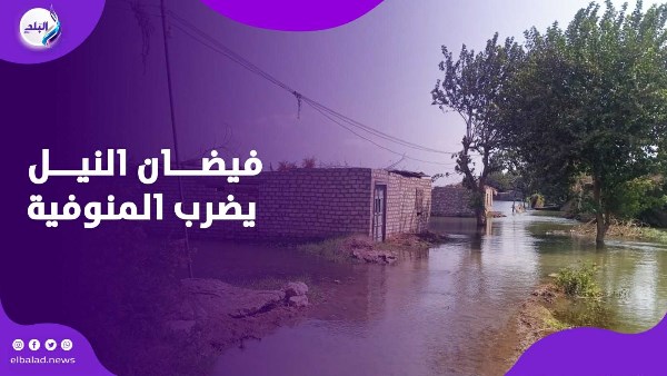 غرق المنوفيه