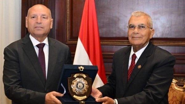  المستشار عصام الدين فريد،