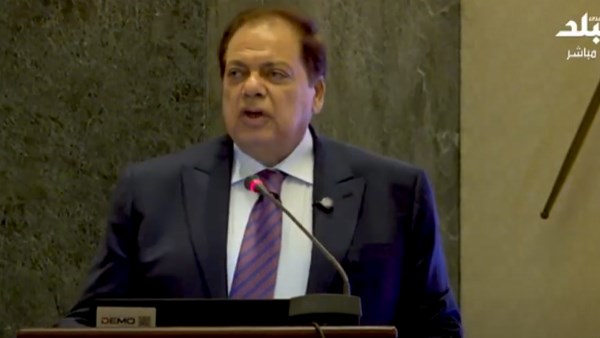 النائب محمد أبو العينين وكيل مجلس النواب