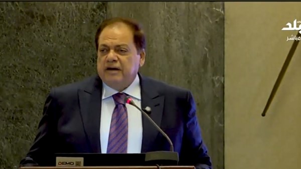 النائب محمد أبو العينين، وكيل مجلس النواب