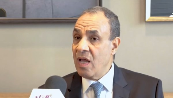 بدر عبد العاطي، وزير الخارجية