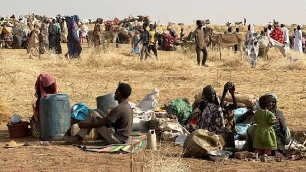 صورة أرشيفية  صورة أرشيفية