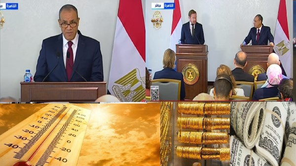 صورة الملف