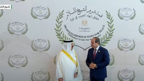الرئيس عبد الفتاح السيسي