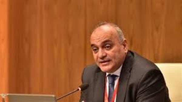 ياسر صبحي نائب وزير المالية  ياسر صبحي نائب وزير المالية