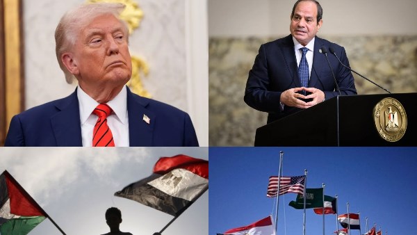 أخبار التوك شو  