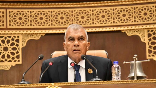 المستشار عصام الدين فريد، رئيس مجلس الشيوخ المستشار عصام الدين فريد، رئيس مجلس الشيوخ