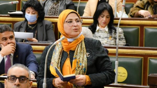 النائبة هناء سرور ، عضو لجنة الصحة بمجلس النواب النائبة هناء سرور ، عضو لجنة الصحة بمجلس النواب