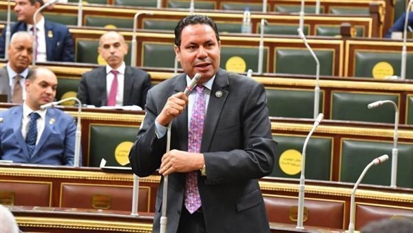 النائب هشام الحصرى رئيس لجنة الزراعة والرى بمجلس النواب