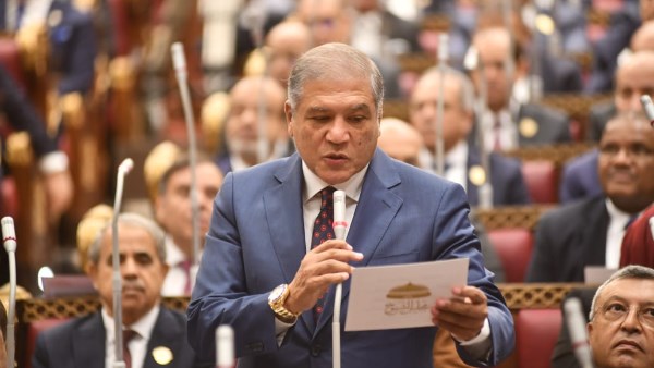 عفت السادات، عضو مجلس الشيوخ 