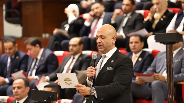 مصطفى الشبراوي، عضو مجلس الشيوخ 