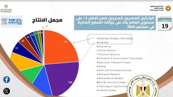 التعليم العالي 