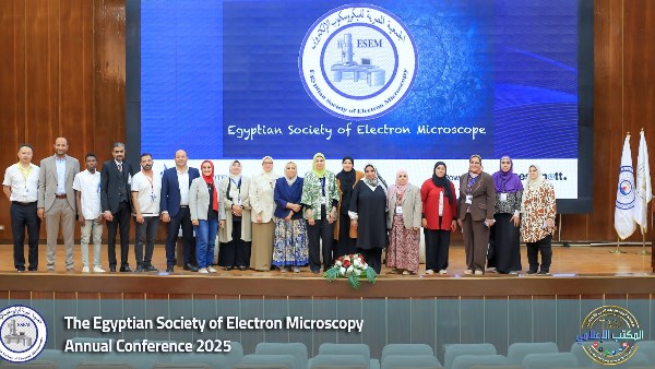 التعليم العالي  التعليم العالي