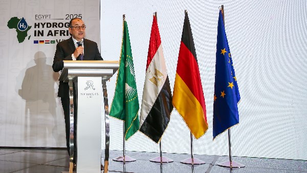 وزير قطاع الأعمال 