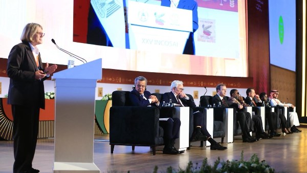 محمد الفيصل يوسف 