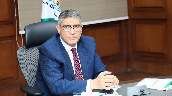 المهندس عادل النجار محافظ الجيزة 
