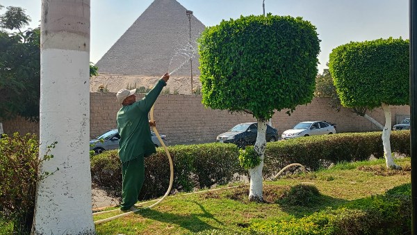 المسطحات الخضراء  المسطحات الخضراء