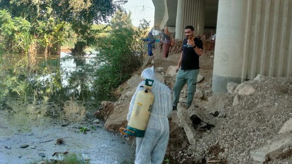 جهود محافظة المنوفية 
