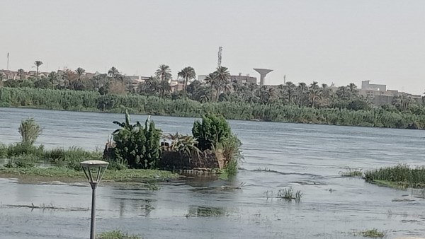 نهر النيل في بني سويف 
