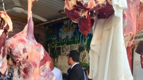 حملات تموينية متنوعة 