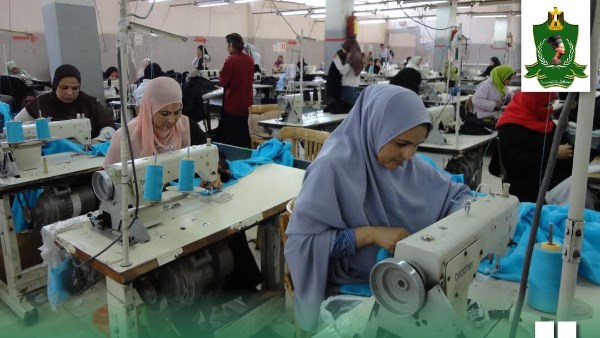 مشروعات للشباب  مشروعات للشباب