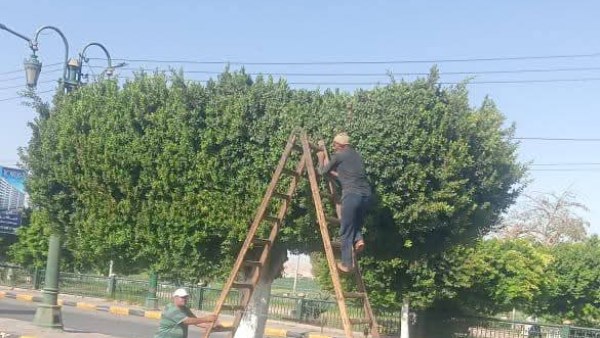 حملات نظافة مستمرة  حملات نظافة مستمرة