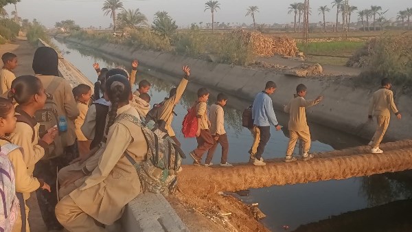 عاجل |أنقذونا قبل وقوع الكارثة.. جذع نخيل على ترعة وسيلة مرور تلاميذ عزبة الصاوي بأسيوط 
