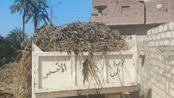 تطهير ورفع نواتج الترع والمصارف بقرية الكوم الأحمر
