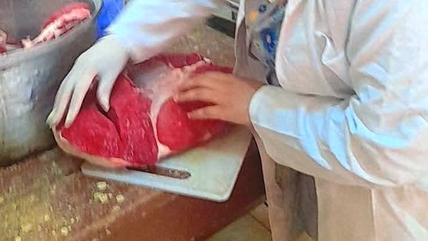توزيع لحوم بسوهاج