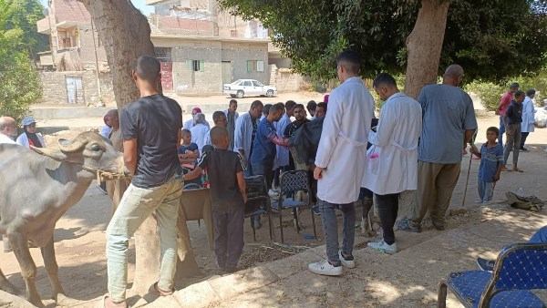 طب بيطري سوهاج تواصل إطلاق قوافلها الطبية البيطرية وتعالج 975 حيوانًا بقرية شطوره طب بيطري سوهاج تواصل إطلاق قوافلها الطبية البيطرية وتعالج 975 حيوانًا بقرية شطوره