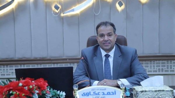 رئيس جنوب الوادى 