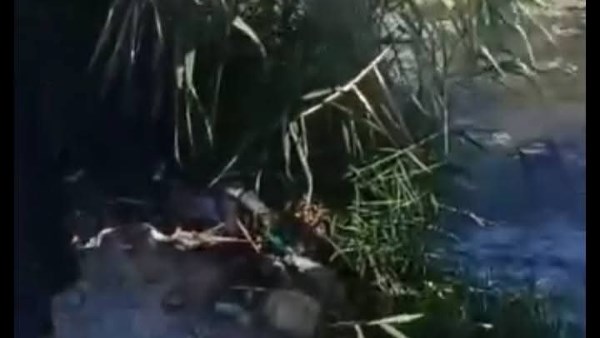 تعديات نهر النيل 