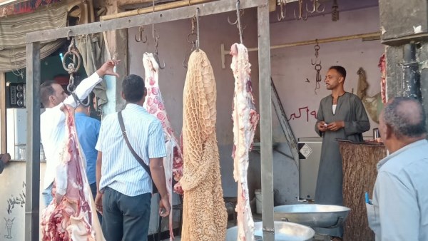 حملات تموينية بقنا