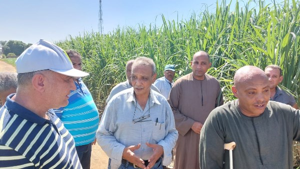 وفد من وزارة الزراعة يتفقد عدد من المواقع الزراعية بمحافظة الأقصر