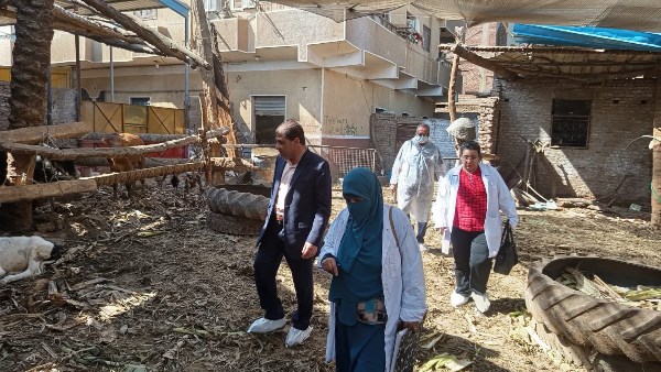 انطلاق حملة التحصين ضد الحمى القلاعية والوادي المتصدع في الأقصر انطلاق حملة التحصين ضد الحمى القلاعية والوادي المتصدع في الأقصر