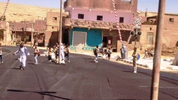 جهود محافظة اسوان 