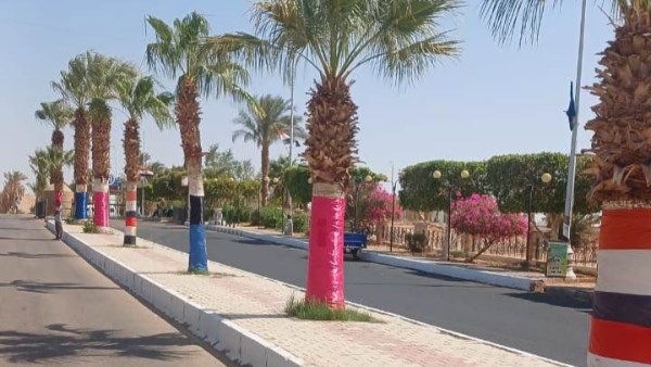 جهود متنوعة