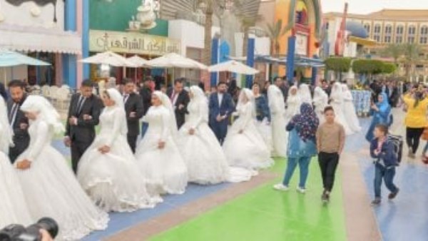 جهود محافظة أسوان