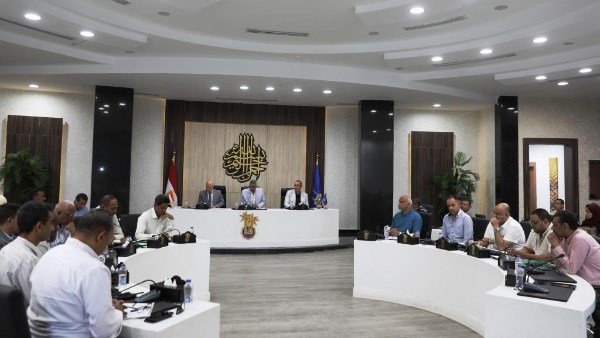 محافظ أسوان