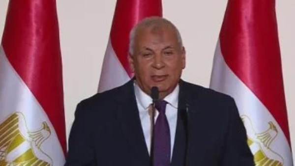 محافظ الوادي الجديد 