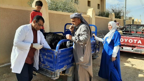 قافلة جامعة مطروح  قافلة جامعة مطروح