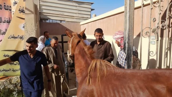 قافلة بيطرية بمطروح قافلة بيطرية بمطروح