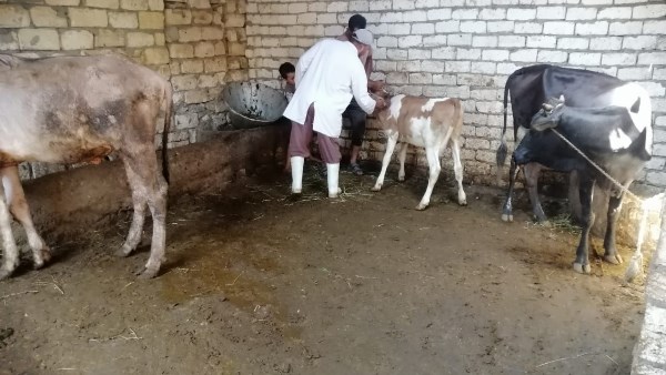 الاعمال 