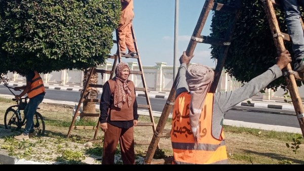 الاعمال 