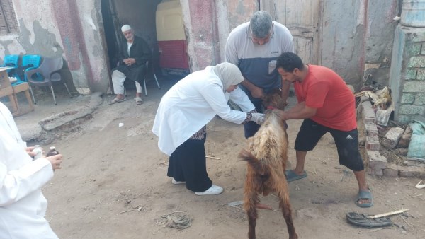 الفاعليات  الفاعليات