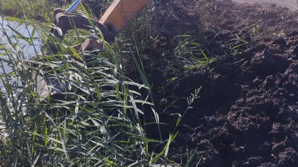 إزالة 5 مزارع سمكية مخالفة على أراضي الدولة بمنطقة الشلاتيات جنوب بورسعيد