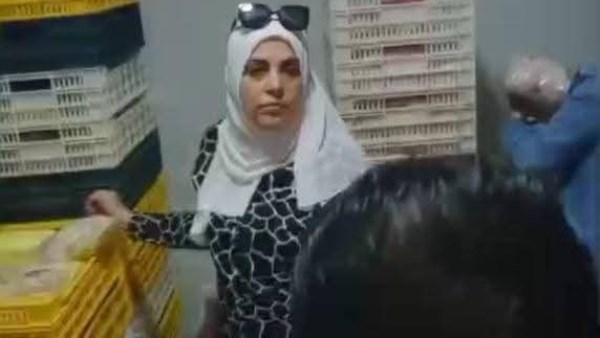 محافظة دمياط محافظة دمياط
