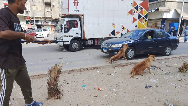 محافظة دمياط محافظة دمياط
